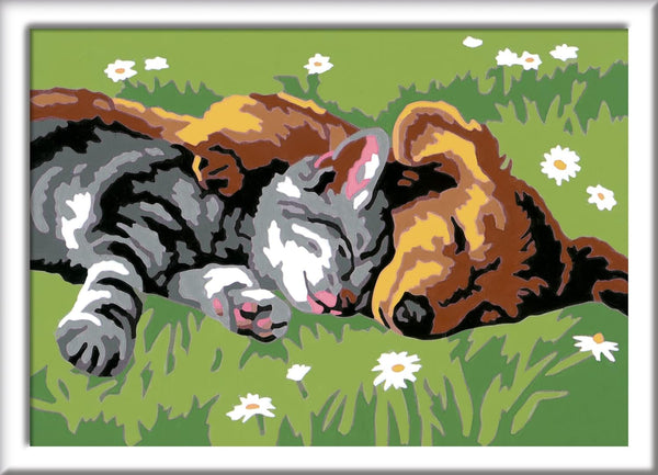 CreArt: Sleeping Cat & Dog 5x7
