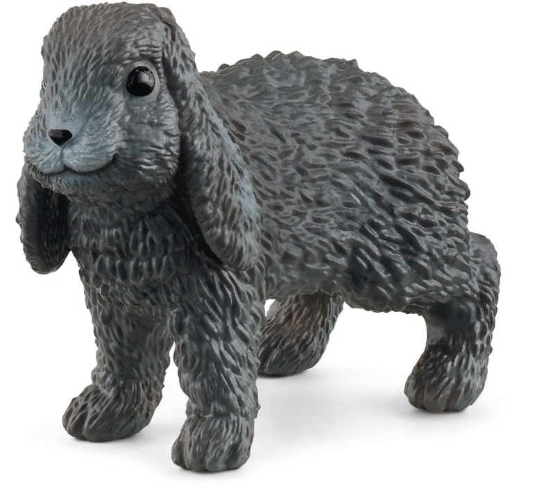 Lop Eared Rabbit