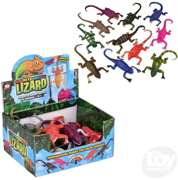 Color Changing Lizard – Imagination Station