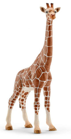 Giraffe Female