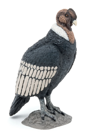 Papo Condor