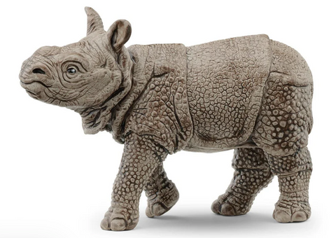 Indian Rhinoceros Baby