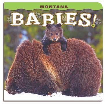 Montana Babies