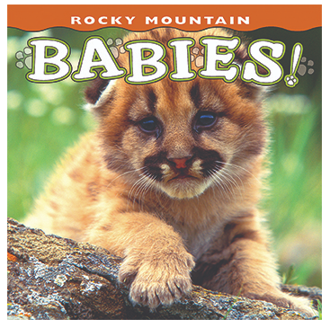 Rocky Mountain Babies