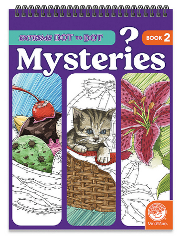 Extreme Dot Mysteries Book 2