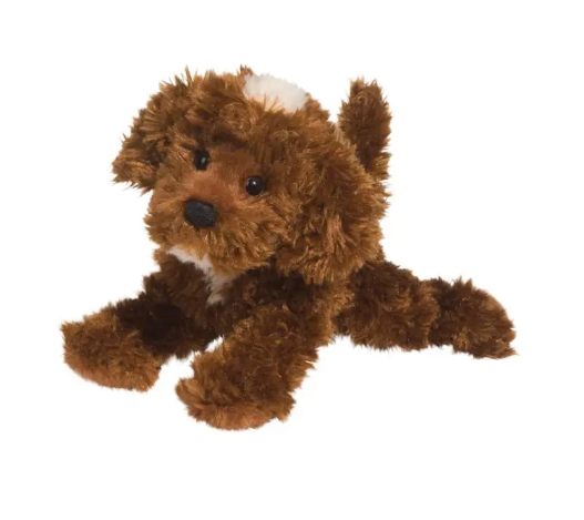 Bosco Choco Labradoodle