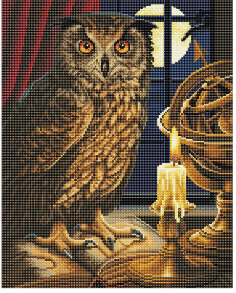 The Astrologer Owl LG Kit