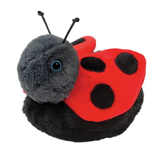 Bert Ladybug