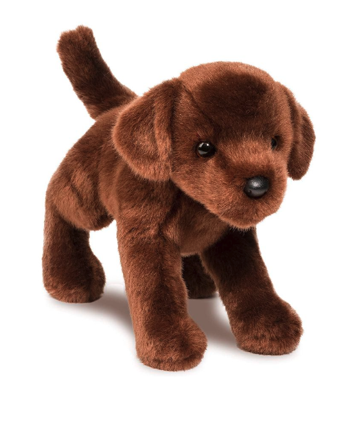 C.C. Bean Chocolate Lab