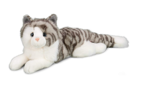 Smokey Gray Cat