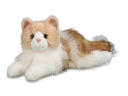 Kiki Ragdoll Cat