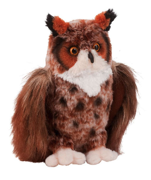 Einstein Great Horned Owl