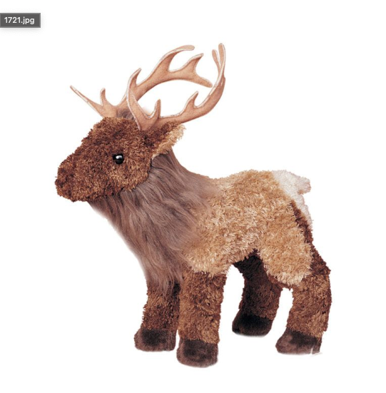 Eddie Elk