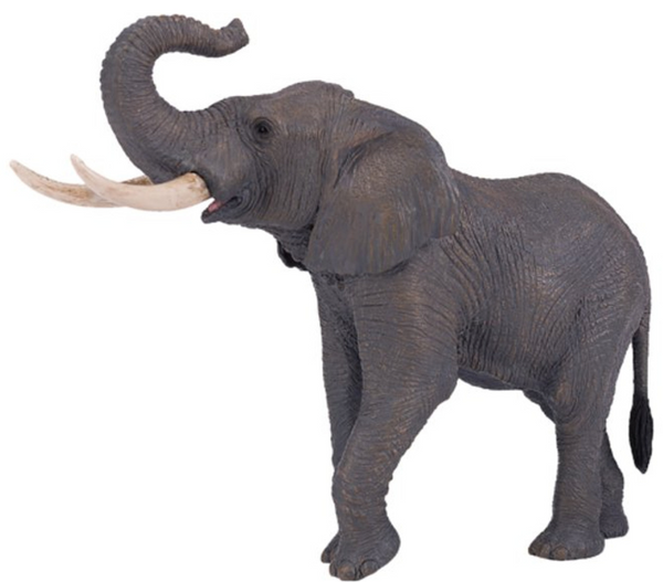 African Elephant – Imagination Station