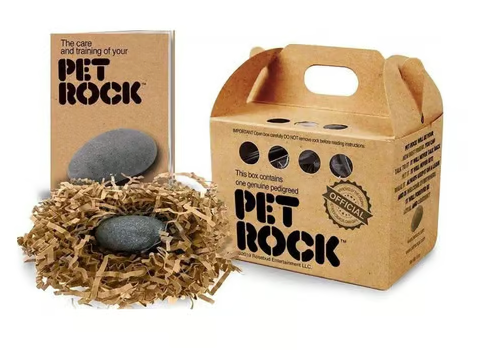 Classic Pet Rock Toy