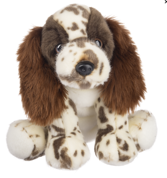 12" Springer Spaniel