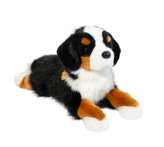 Trooper Bernese Dog