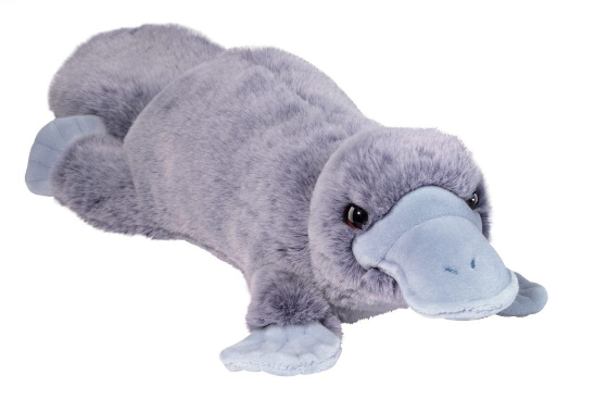 Allie Platypus Soft