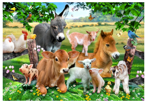 Farm Kindergarten M 150pc