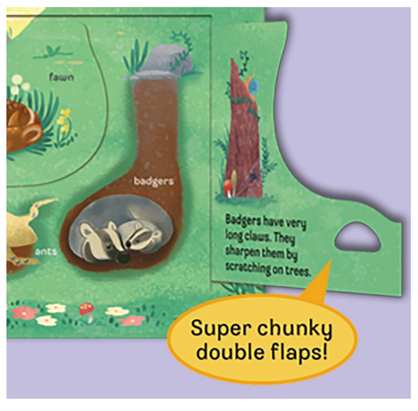 Peek-a-Flap Who