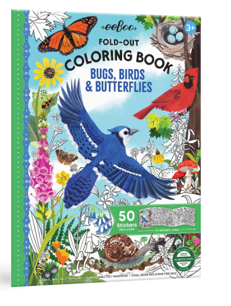 Fold-out Color Bk Bugs Birds & Butterflies