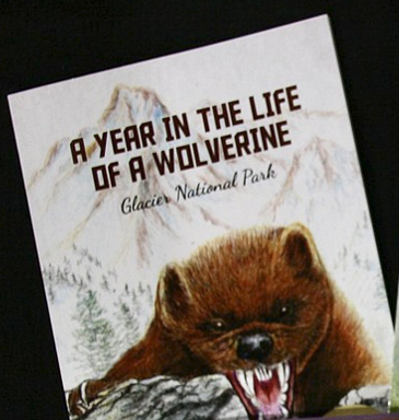 A Year In Life Wolverine