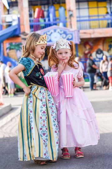 Royal Pink Princess Dress