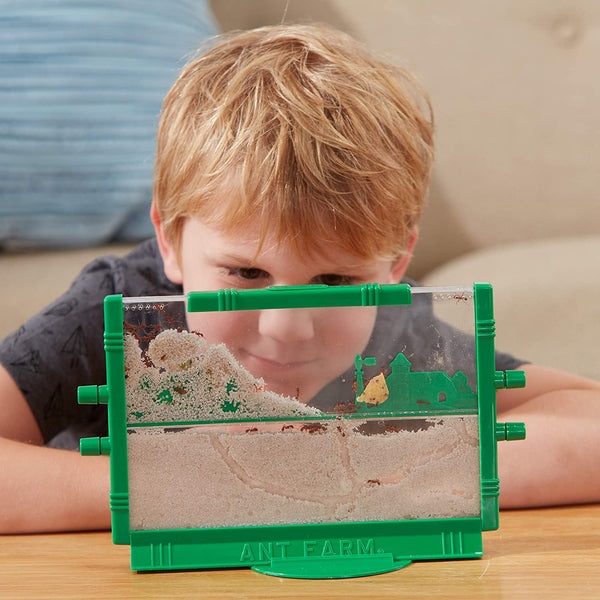 Ant Farm Classic