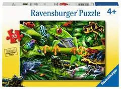 Amazing Amphibians 35Pc