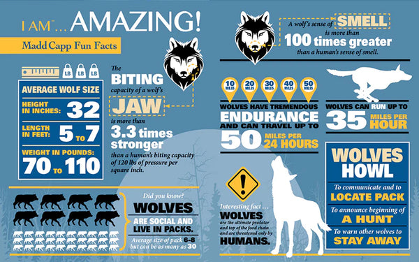 I am Wolf 300pc