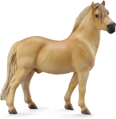 Fjord Stallion Brown Dun