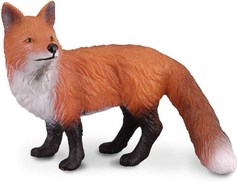 Red Fox