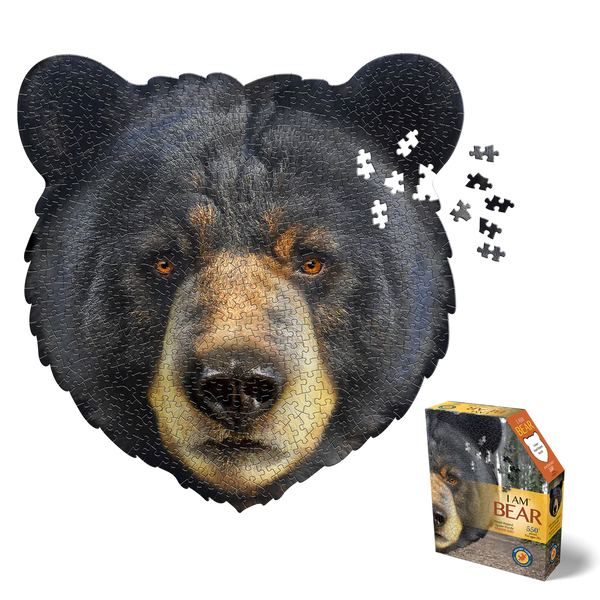 I am Bear 550pc