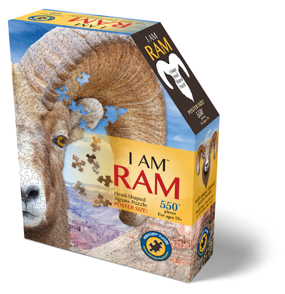 I am Ram 550pc