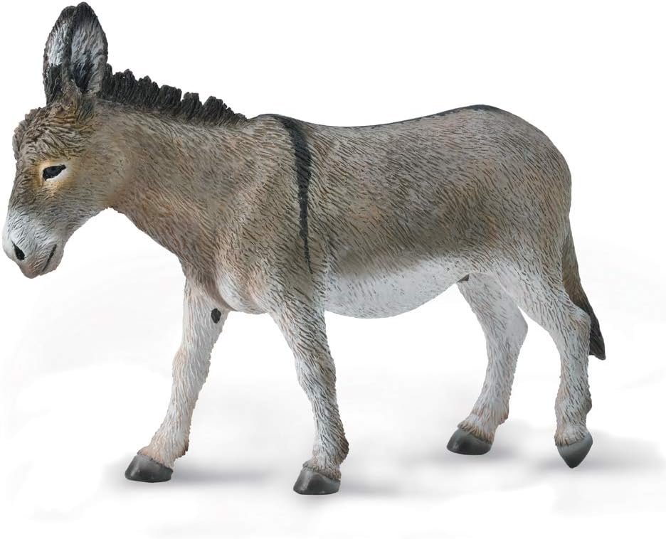 Donkey