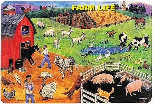 Farm Life Placemat