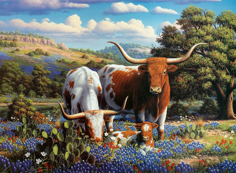 Loving Longhorns 500pc