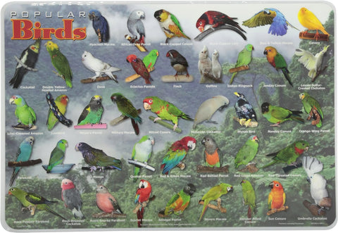 Popular Birds Placemat