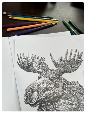 Busy Lizzy  Ink Coloring Book