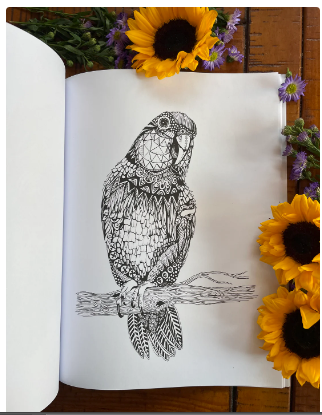 Busy Lizzy  Ink Coloring Book