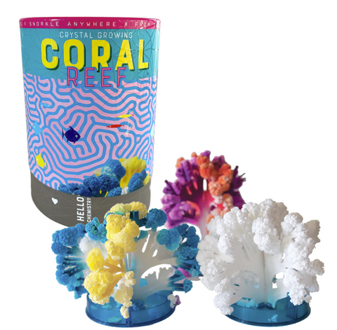 Growing A Coral Reef