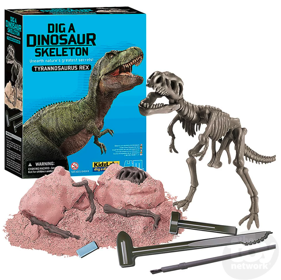 Kidzlabs Dig a Dinosaur Trex
