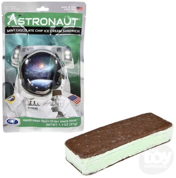 Astronaut Mint Chocolate Chip Ice Cream Sandwich