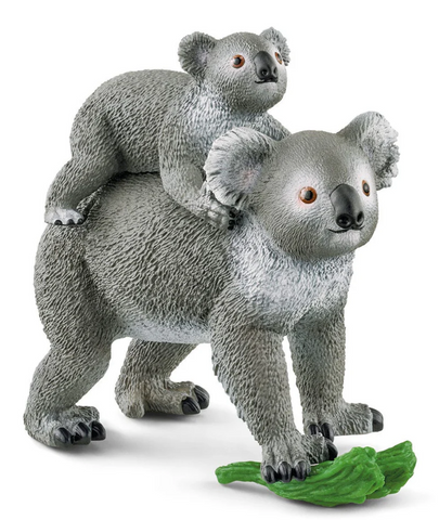 Koala Mother And Baby