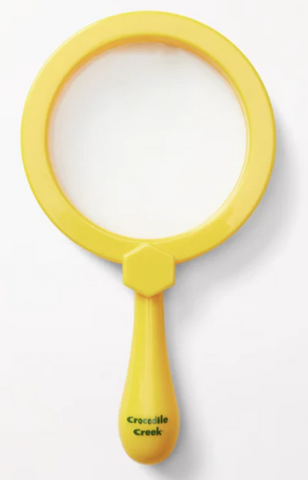 Magnifying Glass Backyard