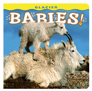 Glacier Babies