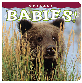 Grizzly Babies