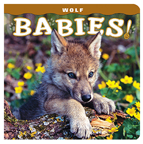 Wolf Babies