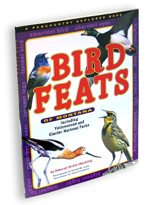 Bird Feats