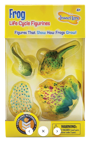 Frog Life Cycle 4pc Set